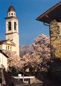 © Ermanno Rossinotti, Pura